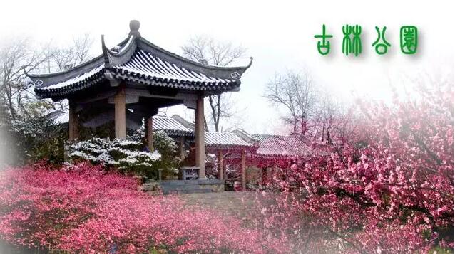 <b>【南京三門灣電器】周日4.24古林公園賞牡丹花、</b>